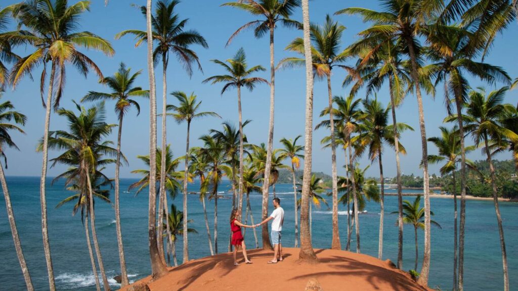 Arugam Bay to Mirissa Taxi Service